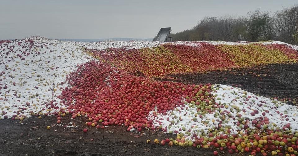 AFACERE GĂUNOASĂ CU MERE ÎNGHEȚATE