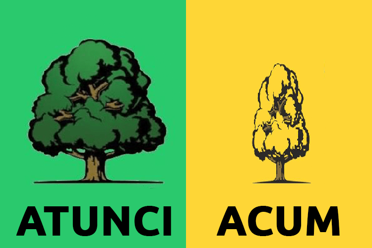 METAMORFOZA PLDM. Omida verde s-a transformat în fluture&nbsp;galben-maroniu