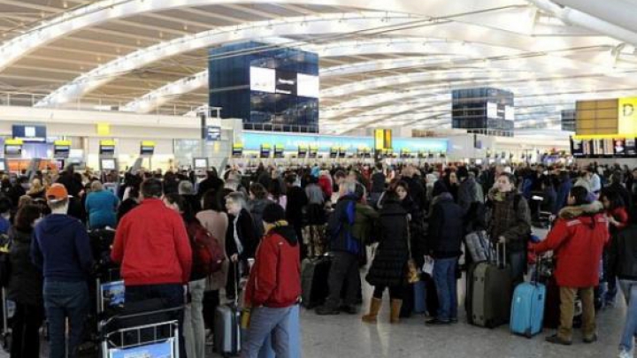 NU MUȘCA MÂNA CARE TE HRĂNEȘTE. Mai ales dacă-ți cere&nbsp;ajutor