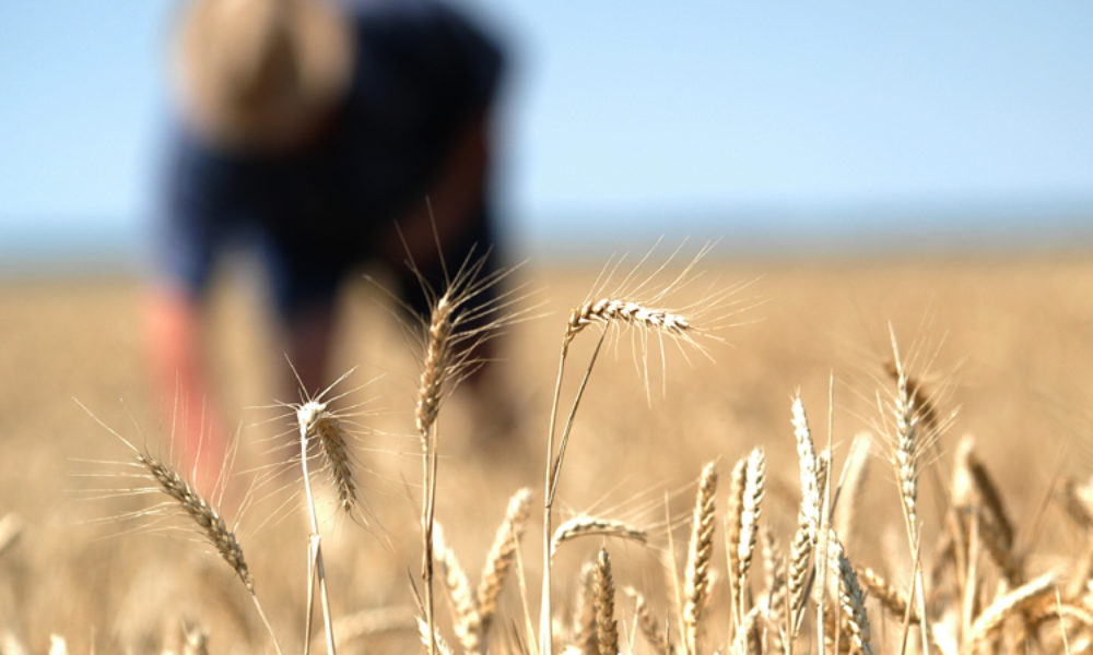 Vremurile se schimbă, omul rămâne&nbsp;același