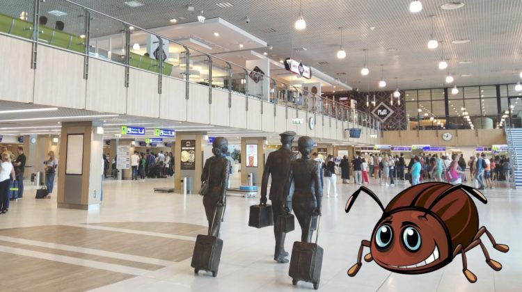 E vremea gândacilor buni! Situația de la aeroportul din Chișinău, reflecția în miniatură a guvernării PAS